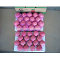 Fruit de pomme frais entièrement blush grandes tailles